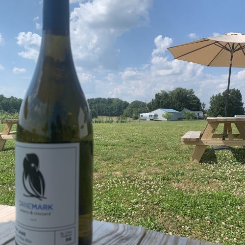 A bottle of Janemark wine on a picnic table with an umbrella, overlooking the scenic vineyard on a sunny day.